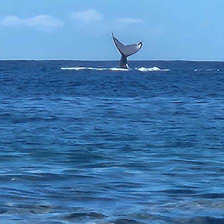 Moorea Temae Bungalow Lory Bord De Mer Exteriör bild
